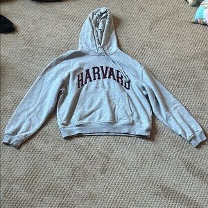 H&M Gray Harvard Hoodie